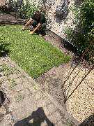 Gartenservice Henry Kleefuß - 4