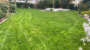 Gartenservice Mark Miess - 18
