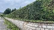 Gartenservice Mark Miess - 20