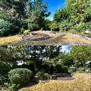 Gartenservice Mark Miess - 34