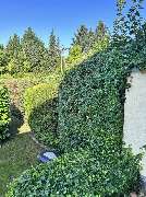 Gartenservice Mark Miess - 38