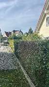 Gartenservice Mark Miess - 4