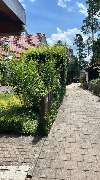 Gartenservice Mark Miess - 41