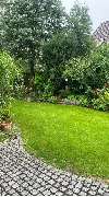 Gartenservice Mark Miess - 42