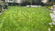 Gartenservice Mark Miess - 46