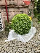 Gartenservice Mark Miess - 51