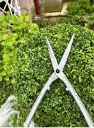 Gartenservice Mark Miess - 52
