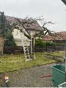 Gartenservice Mark Miess - 58