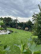 Gartenservice Mark Miess - 6