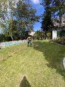 Gartenservice Mark Miess - 60