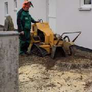 Gartenservice Stolz - GALLERY