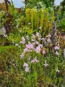 Gartenwerkstatt Schreiner, Inhaberin Sabine Schreiner - GALLERY