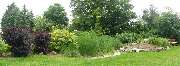 Gashi Garten- und Tiefbau GmbH & Co. KG - Gartenpflege