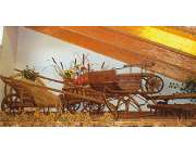 Gasthaus Helm/Fischer - GALLERY