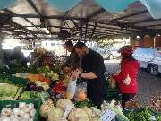 Gasthaus Mooswaldbierstube - GALLERY