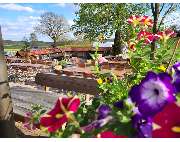 Gasthaus zum grünen Tal Fam. Vitzthum - GALLERY