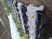 Gasthausbrauerei HammerBräu - GALLERY