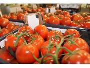 Gastro Express Lieferservice - GALLERY