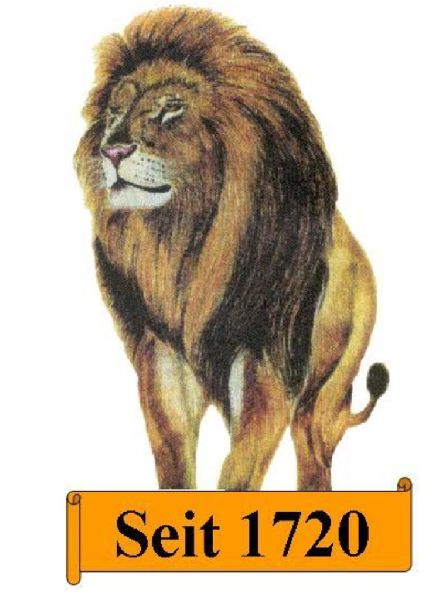 Gaststätte Goldener Löwe - 1