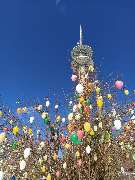 Gaststätte Lugsteinbaude - GALLERY