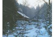 Gaststätte und Pension Waldhof - GALLERY