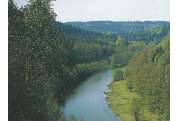 Gaststätte und Pension Waldhof - GALLERY