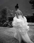 GDF Photography - GALLERY