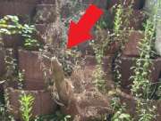 Gebäudereinigung Giuseppe Musso - GALLERY