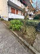 Gebäudereinigung Rama - 4