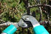 Gebäudeservice Cakmak - Als erfahrene Garten- und Landschaftsbauer sind wir Ihr erster Ansprechpartner, wenn es um Ihren Garten geht. Wir bieten u.a...