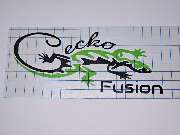 Gecko-FUSION - 2