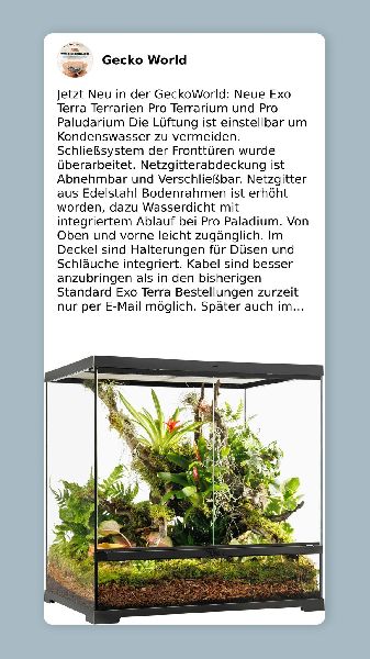 Gecko World e.K. - GALLERY