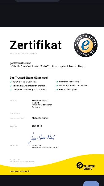 GeckoWorld e.K. - GALLERY