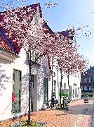 GEERS Hörgeräte - GALLERY