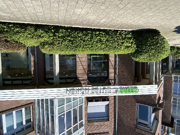 GEERS Hörgeräte - GALLERY