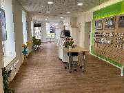 GEERS Hörgeräte - GALLERY