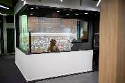 GEERS World of Hearing - GEERS World of Hearing Erlebnisraum
