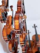 Geigenbauatelier Trautmann, München - GALLERY