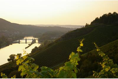 Geiger Gebr. jun. - GALLERY