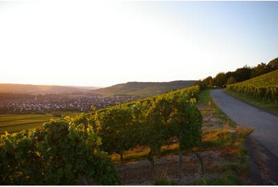 Geiger Gebr. jun. - GALLERY