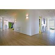 Gemeinschaftpraxis drs. Alink und Kollegen - GALLERY