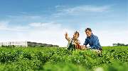 Gemüsering Stuttgart GmbH - Gemüsering Stuttgart GmbH - Wir vereinen das partnerschaftliche Zusammenspiel zwischen regionalem Anbau, Disposition, Vermarktung und dem Lebensmitteleinzelhandel sowie der vielfältigen Gastrolandschaft und setzen dabei konsequ