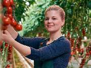 Gemüsering Stuttgart GmbH - Gemüsering Stuttgart GmbH - Wir vereinen das partnerschaftliche Zusammenspiel zwischen regionalem Anbau, Disposition, Vermarktung und dem Lebensmitteleinzelhandel sowie der vielfältigen Gastrolandschaft und setzen dabei konsequ