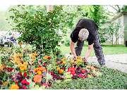 Genossenschaft Kölner Friedhofsgärtner eG - GALLERY