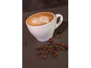 Genussbude - GALLERY