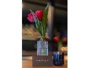 Genussbude - GALLERY