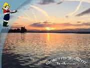 Georg's Fischerhütte Fischrestaurant - Georg's Fischerhütte, Reichenau, Fischrestaurant, Terrasse, Seeblick, Restaurant, Gaststätte, frischer Fisch, Fangfrisch, Bodenseefisch, Fisch essen gehen, Abendessen, Mittagstisch