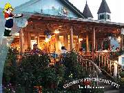 Georg's Fischerhütte Fischrestaurant - Georg's Fischerhütte, Reichenau, Fischrestaurant, Terrasse, Seeblick, Restaurant, Gaststätte, frischer Fisch, Fangfrisch, Bodenseefisch, Fisch essen gehen, Abendessen, Mittagstisch