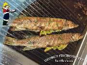 Georg's Fischerhütte Fischrestaurant - Georg's Fischerhütte, Reichenau, Fischrestaurant, Terrasse, Seeblick, Restaurant, Gaststätte, frischer Fisch, Fangfrisch, Bodenseefisch, Fisch essen gehen, Abendessen, Mittagstisch