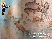 Georg's Fischerhütte Fischrestaurant - Georg's Fischerhütte, Reichenau, Fischrestaurant, Terrasse, Seeblick, Restaurant, Gaststätte, frischer Fisch, Fangfrisch, Bodenseefisch, Fisch essen gehen, Abendessen, Mittagstisch